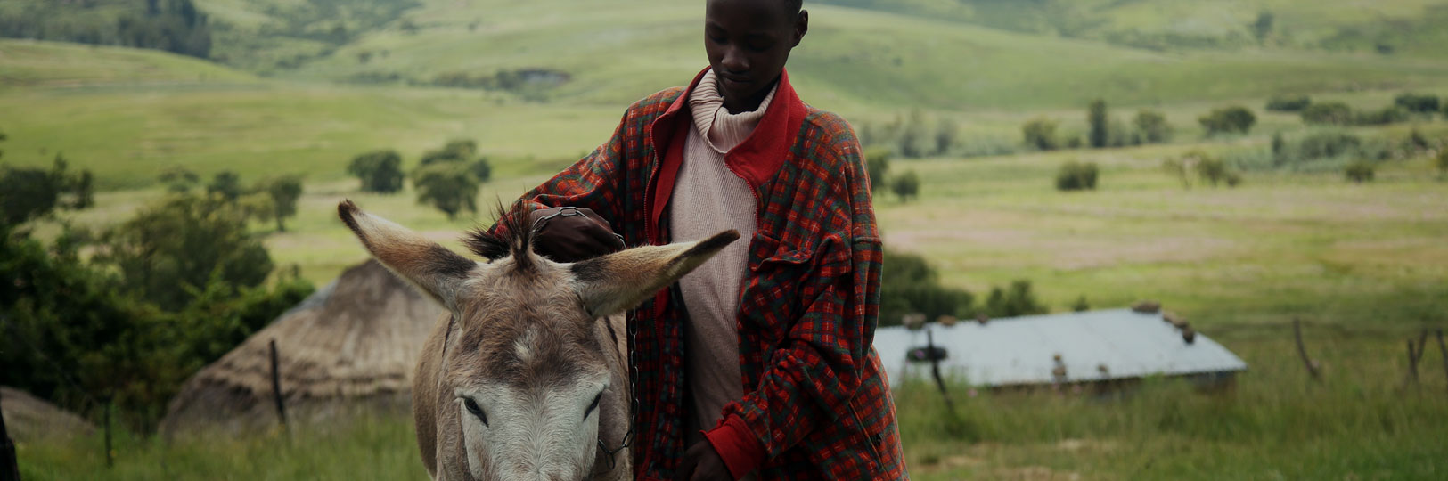 A farmer and an animal