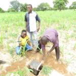 AEI soil sampling