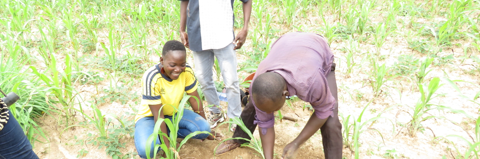 AEI soil sampling