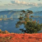 Andes landscape