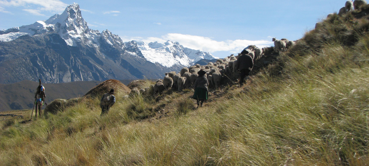 Andes landscape