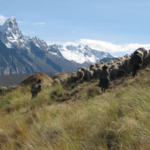 Andes landscape