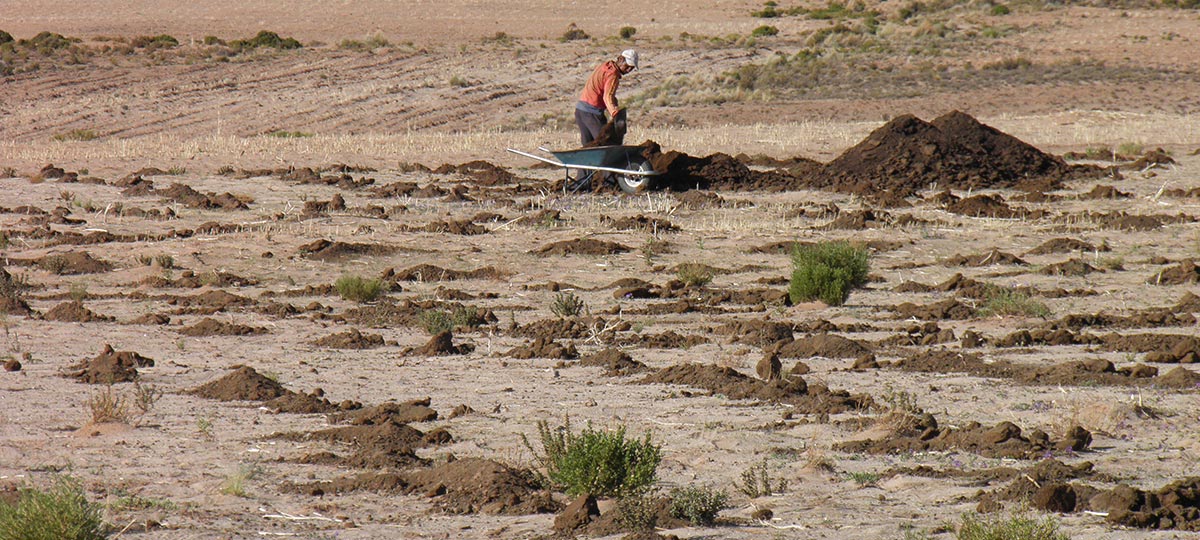 Manure fertilizer