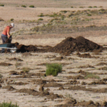 Manure fertilizer