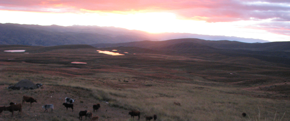 Andes vista