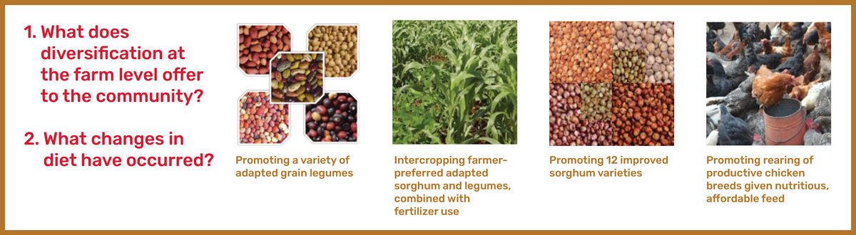 AEI approach for sorghum